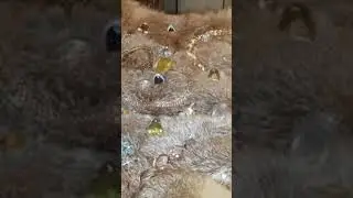 На Великое Богатство 🤩💸💰