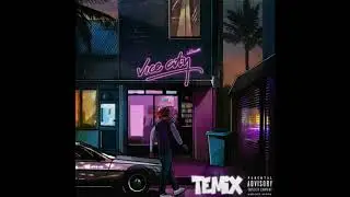 Temix - Vice City (prod.FlyMelodies)