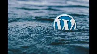 How to Embed PDF's into Wordpress using Google Docs