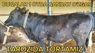 1-OYDA O'ZGARISH ZO'R