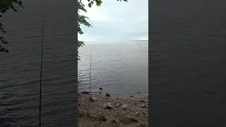 Рыбалка в Чувашии сегодня