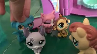 Lps Adoption Center Part 5