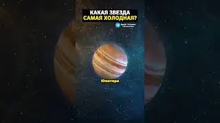 Какая звезда самая холодная?