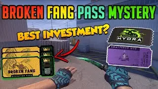 Why Broken Fang Will Not Go On a Sale - CS:GO investment