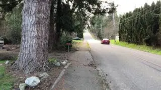 Walking down to Lake Stevens III