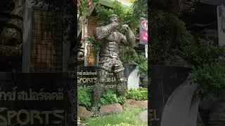 Удивительный Тайланд (6)