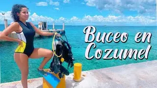 BUCEO en COZUMEL MEJORES lugares en el MUNDO para bucear Hotel y Buceo  DIVING I Brenda Catalán