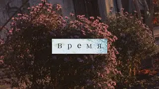 время - квазисекс (премьера сингла, 2021)