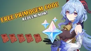 Free Primogems! | New Redeem Codes | Genshin Impact