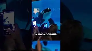 Важнейшая новость №2