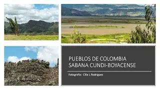 #CUCUNUBA