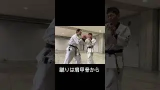 蹴りは肩甲骨をスライドさせてからうつ　#パーソナルトレーニング #富山 #沖縄空手 #魚津 #松濤館 #蹴り ＃肩甲骨　＃体重移動