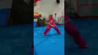 Love what I do / keep improving my Kung fu Wuhsu skills