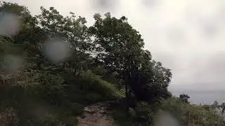 Jersey Cliff Path Run