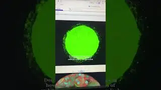 Stunning Research Images from Our Lab! 