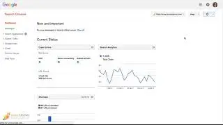 How to add a user to Google Search Console (Full or Restricted Access)