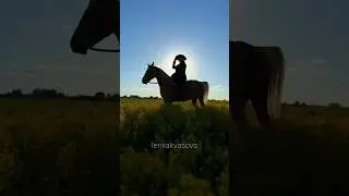 Дикий Запад в 100 км от Москвы 💔 #конныйблог #horse #конныйтуризм #equestrian #конныепрогулки#галоп