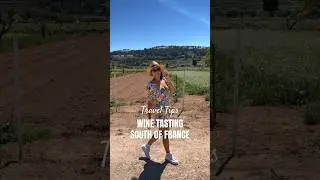 South of France Wine Tasting 🍷 | Fun Things To Do and How to do it!  🇫🇷🍇 #aixenprovence