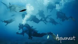 Scuba Diving in Cebu