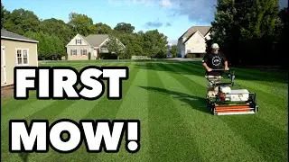 Lawn Renovation FIRST MOW Reel Mowing 3/4 Inch