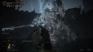 Destroying  royal knight Lorreta Shade