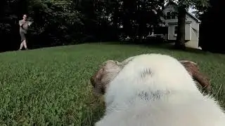 Playing ball with Bean
