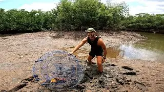 Hunting Mud Crabs In The Mangroves + Exploring Sugarcane Farms