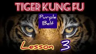 learning kung fu at small space / tiger kung fu lesson 3 / 虎拳第三课