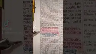 Torah before the Torah