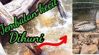JEMBATAN KECIL INI DIHUNI HAMAPALA// CASTING HAMPALA #hampala #mancing