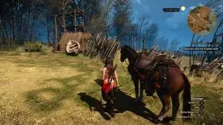 The Witcher 3:  Succubus witcher