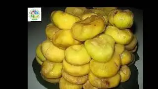 Anjirning shifobaxsh xususiyatlari