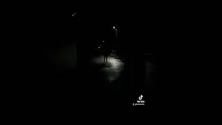 Serbian dancing lady in belarus in night