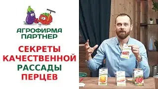 СЕКРЕТЫ КАЧЕСТВЕННОЙ РАССАДЫ ПЕРЦЕВ
