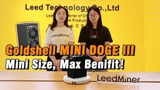 Mini Size, Max Benifit: Goldshell Mini Doge III