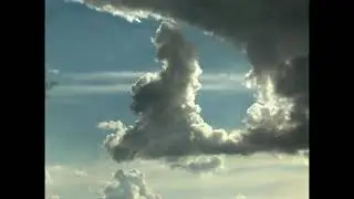 Путь к Свету! (Way to the Light)