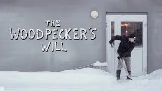 The Woodpecker's Will #1 | Backyard Snow & Indoor Skate