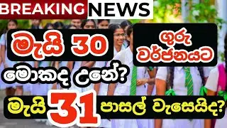 Will School Be Closed on May 31 | Teacher Strike on May 31 2024