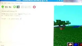 Minecraft Pi Python get height at point