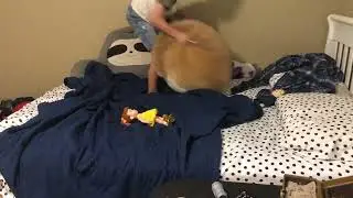 Gabby Gabby & Benson Try to Steal our Treasure