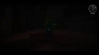 Как я выживаю