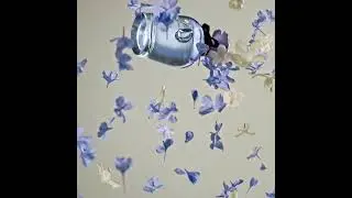 Dolce Blue Jasmine Eau de Parfum aromatas įkūnija optimizmą ir laisvę.