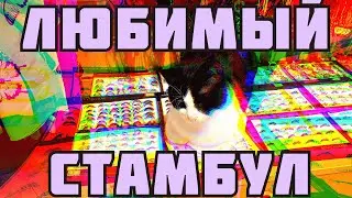 СТАМБУЛ 2020 | ПОКУПКИ В БЕШИКТАШ И ПРЕКРАСНЫЕ ВИДЫ