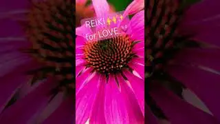 REIKI 🙌✨ for LOVE 💗💕 