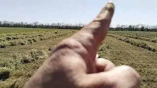12 июля 2024 г.