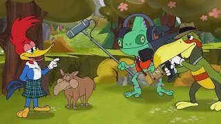 Woody es la estrella del show| El Pájaro Loco | Dibujos Animados en Español