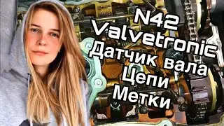 The Truth About the N42 (Valvetronic, Camshaft Sensor, Timing Chain Replacement, Timing Marks) Pa...