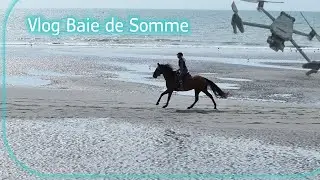 Ecumes - Vlog Baie de Somme