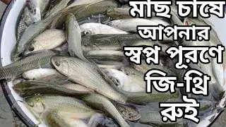 কার্প মাছ চাষে আপনার স্বপ্ন পূরণে জি থ্রি/g3 রুই এখনই ছাড়ুন এই সাইজের পোনা।