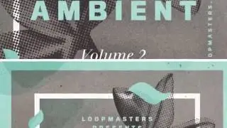 Zen Ambient Vol 2   Hang Drum Chillout Samples & Loops   By Loopmasters   new